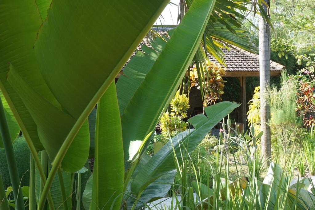 Ibludan Hotel Senggigi Ngoại thất bức ảnh