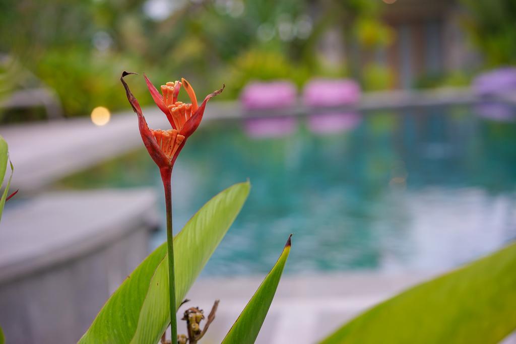 Ibludan Hotel Senggigi Ngoại thất bức ảnh