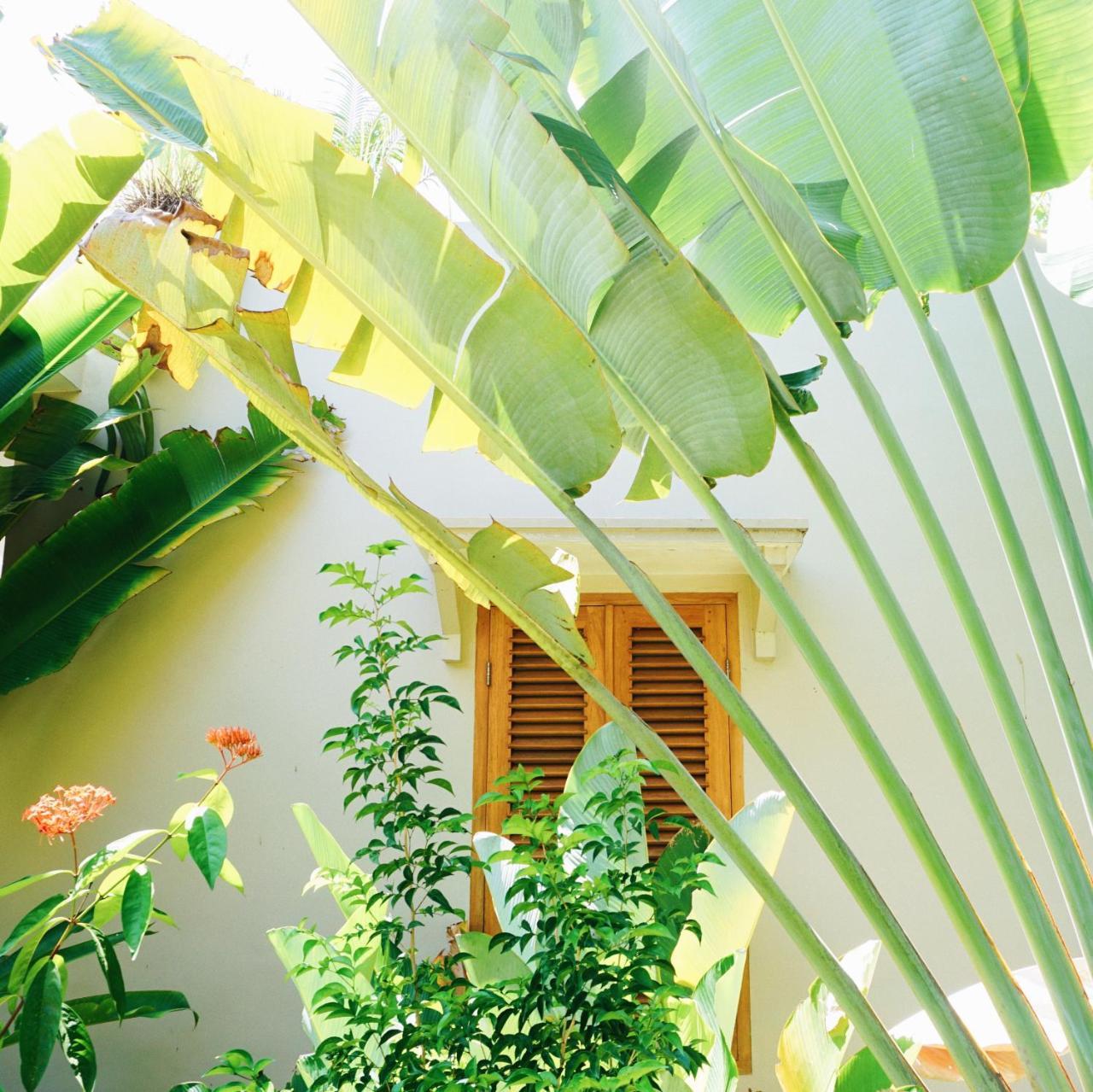 Ibludan Hotel Senggigi Ngoại thất bức ảnh