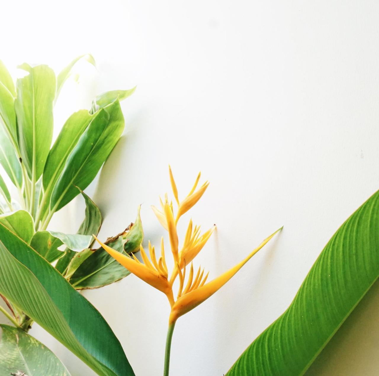Ibludan Hotel Senggigi Ngoại thất bức ảnh